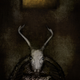 Image for article titled Jeremy Zerfoss is the artist who never sleeps